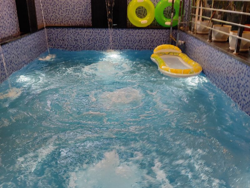 Shubh Ashray Luxury Villa in Udaipur with Pool